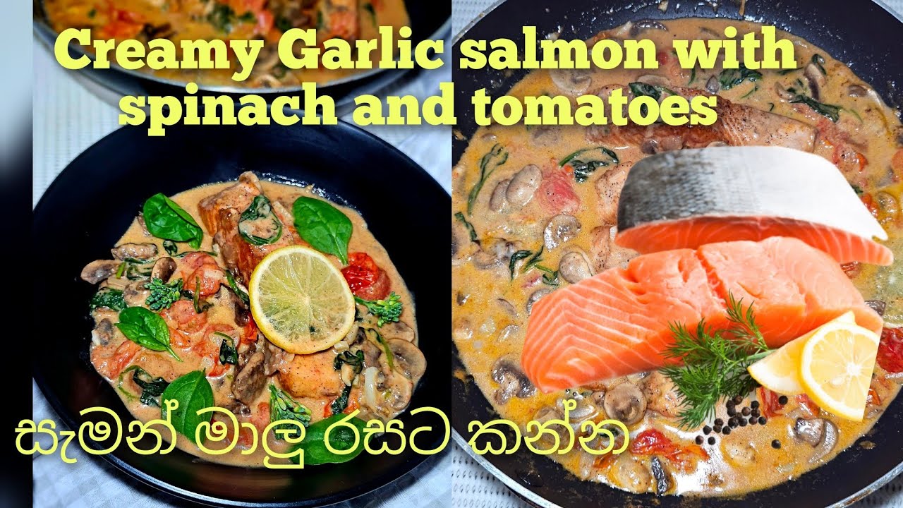 creamy salmon with spinach and tomatoes