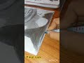 #music talwinder drawing artist art