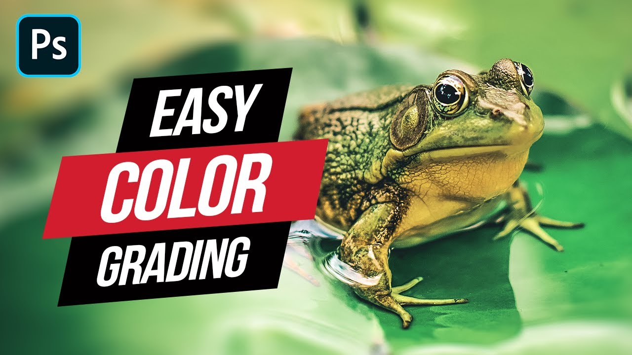 Adobe Camera Raw Update (June 2020) - Color Grading Wildlife Photos ...