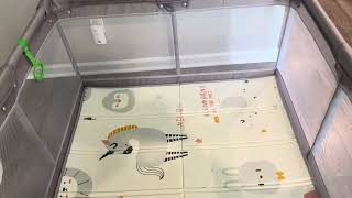 ZEEBABA Baby Playpen Review