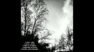 dsbm mix // depressive suicidal black metal (vol.4)