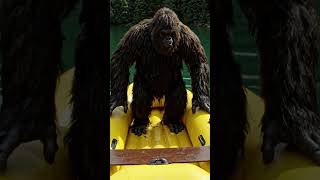 Bigfoot fell out the boat #ai #chill #chill #funny #funny #420 #plant #art #destroy #beer #bigfoot