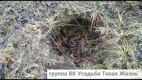 Жуть какая-то! Страшные вещи творятся!