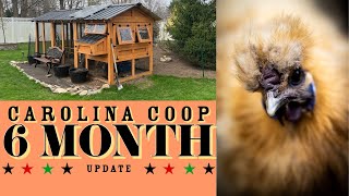 CAROLINA COOP!  6 MONTHS LATER!!