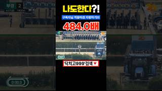 구독자님 적중마권자랑하기2. 축하 드립니다.#경마#경마예상#경마초보#쓰나미경마#별대박경마#클파경마#이종운경마#마테크경마#불세출경마#부산짱구#예그맨경마#경마아나#오세현경마#마테크경마
