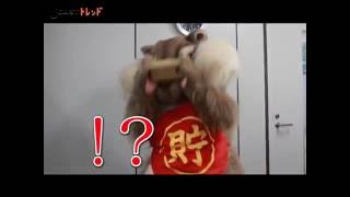 ちょリス も 恐怖 に震えあがる おちょリスさん って コワそうだけど見たくなる最新テクの360度ホラー動画 J Cast トレンド