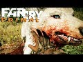 ЛЕГЕНДАРНЫЙ ЛЕДОВОЛК - FAR CRY PRIMAL #19