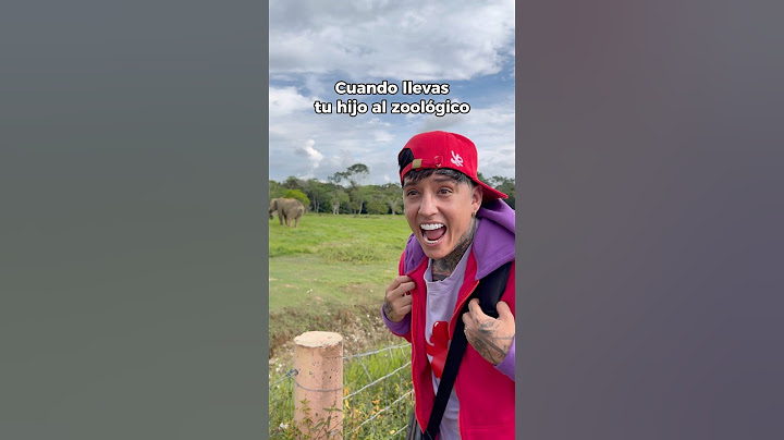 Cuando llevas tu hijo al zoológico