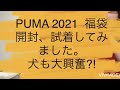 PUMA  2021 福袋　開封、試着してみました。犬も大興奮！？