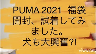 PUMA  2021 福袋　開封、試着してみました。犬も大興奮！？