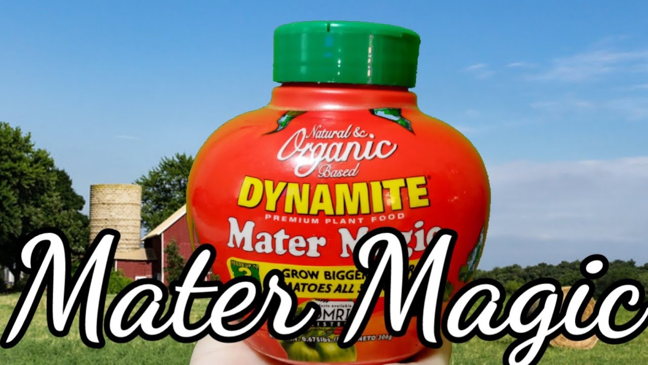 Mater Magic its the dynamite YouTube
