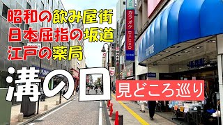 【溝の口】昭和の飲み屋街から昔の宿場跡まで見所を巡る街歩き