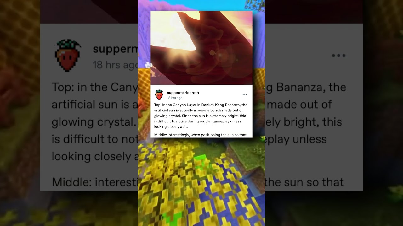 Nintendo Tumblr Did You Know This About Donkey Kong Bananza