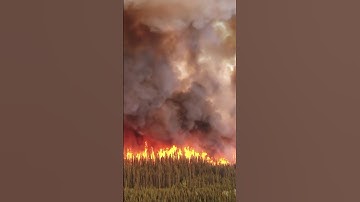 Canada Wildfires Lead to Air-Quality Alerts in Northeastern US