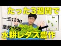 【植物工場】水耕栽培3週間でサニーレタスを収穫、重さや葉の枚数を数えてみた【ミニ植物工場】