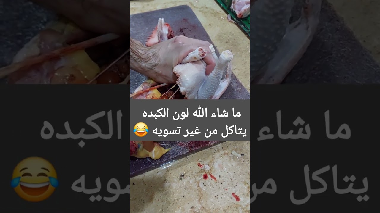 فرخه بلدي و ديك 🐓 بلدي عتاقي ..