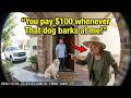 HOA-Karen fines homeowner $100 for every time his dog barks at night