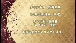 haruka kokoのライブストリーミング
