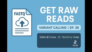 Get Raw NGS Reads for Variant Calling | Download from NCBI SRA & ENA | Ep. 38
