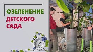 видео: Озеленение детского сада. Большой проект озеленения от Мистер Флористер картинка: Озеленение детского сада. Большой проект озеленения от Мистер Флористер