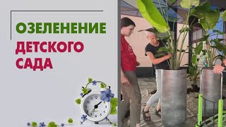 Озеленение детского сада. Большой проект озеленения от Мистер Флористер