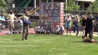 Akron Police - 3rd Annual K9 Challenge - Axel