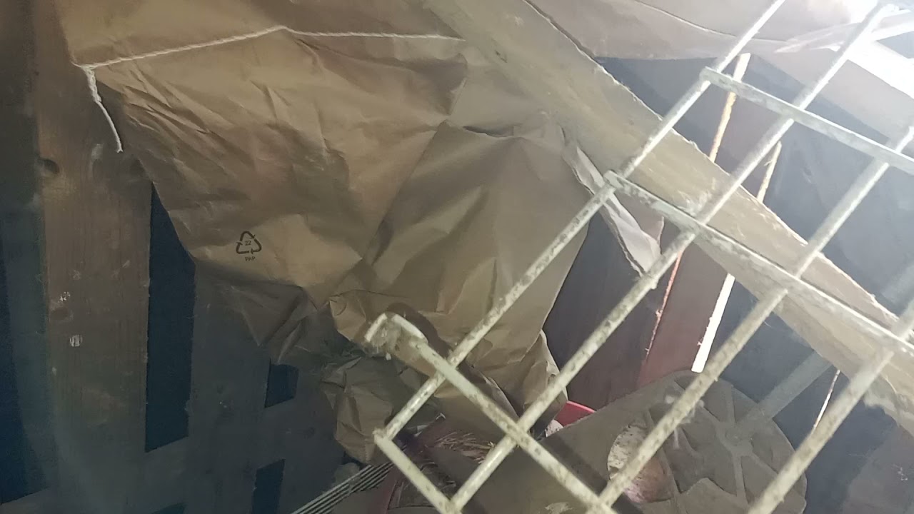 tvor mi poklo kokosi