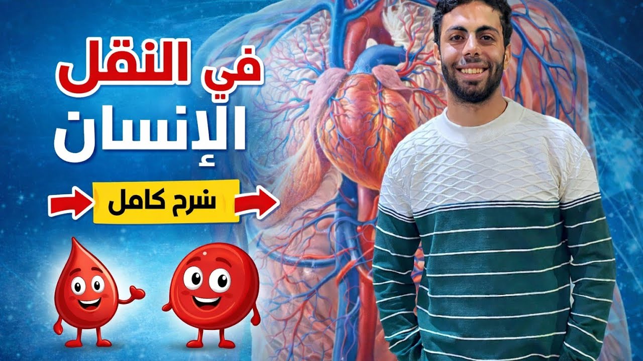 النقل فى الانسان 🧪💚