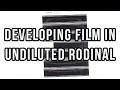Developing with undiluted rodinal