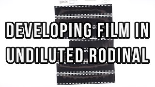 Developing with Undiluted Rodinal