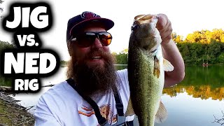 BASS JIG vs NED RIG - Hot Summer Bass Fishing Rigs That Catch Fish!
