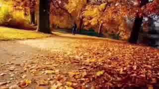 ZoLeng-kai na na nau ee