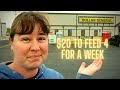 $20 to feed Family of 4 from Dollar General for a Week