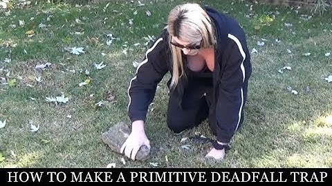 HOW TO Make A Basic Primitive DEADFALL TRAP (Seizonjutsu) Ninja Survival Training Techniques