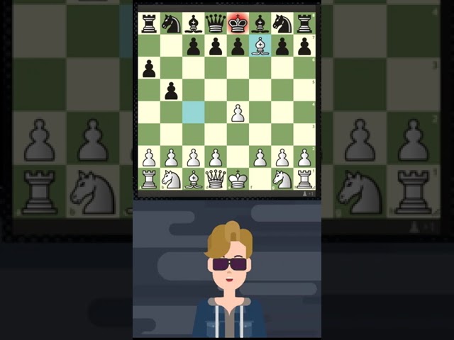 preview_player
