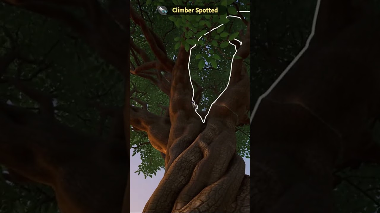 You Won't Believe the Size of This Fig Tree #roblox #shorts