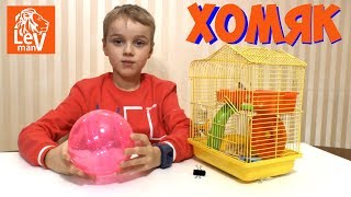 🐁🐹🐰🐭МУРКА 2 - хомяк - бегает в колесе