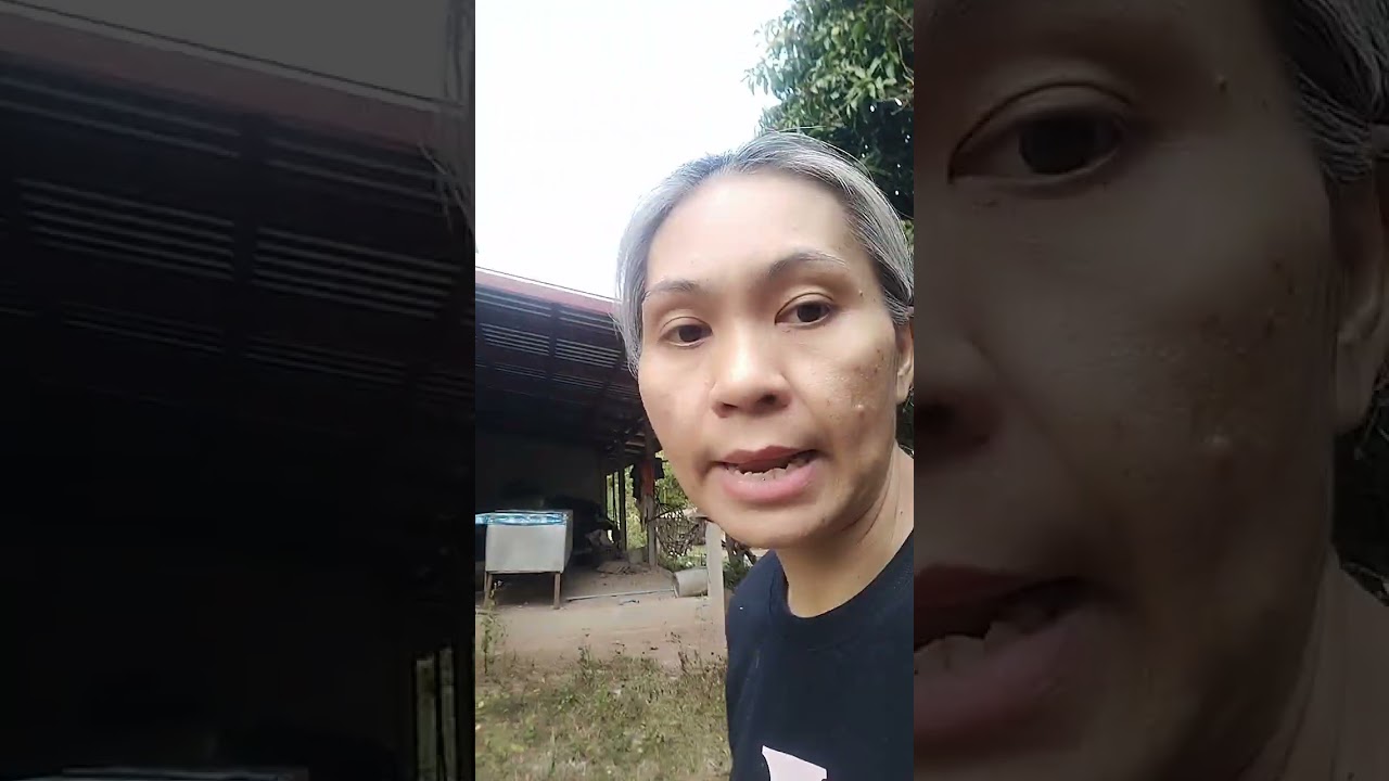 เดินเล่นรอบบ้านค่ะทุกคน