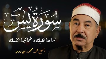 سورة يس - الشيخ محمد محمود الطبلاوي - مجود - جودة عالية