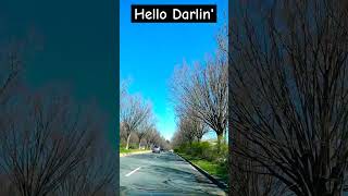 Watch Lynn Anderson Hello Darlin video