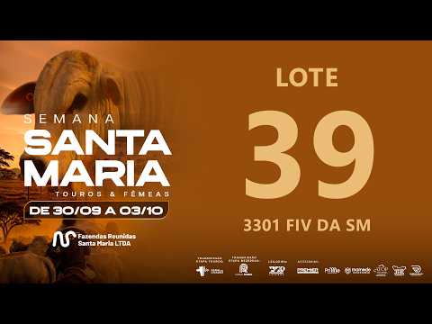 LOTE 39 FSM A3301