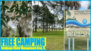 Florida Camping for FREE Istokpoga Florida Water Management Areas