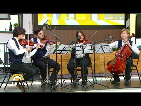 კონსტანტინე ვარდელის სახელობის სიმებიანი კვარტეტი - „ინდი-მინდი“