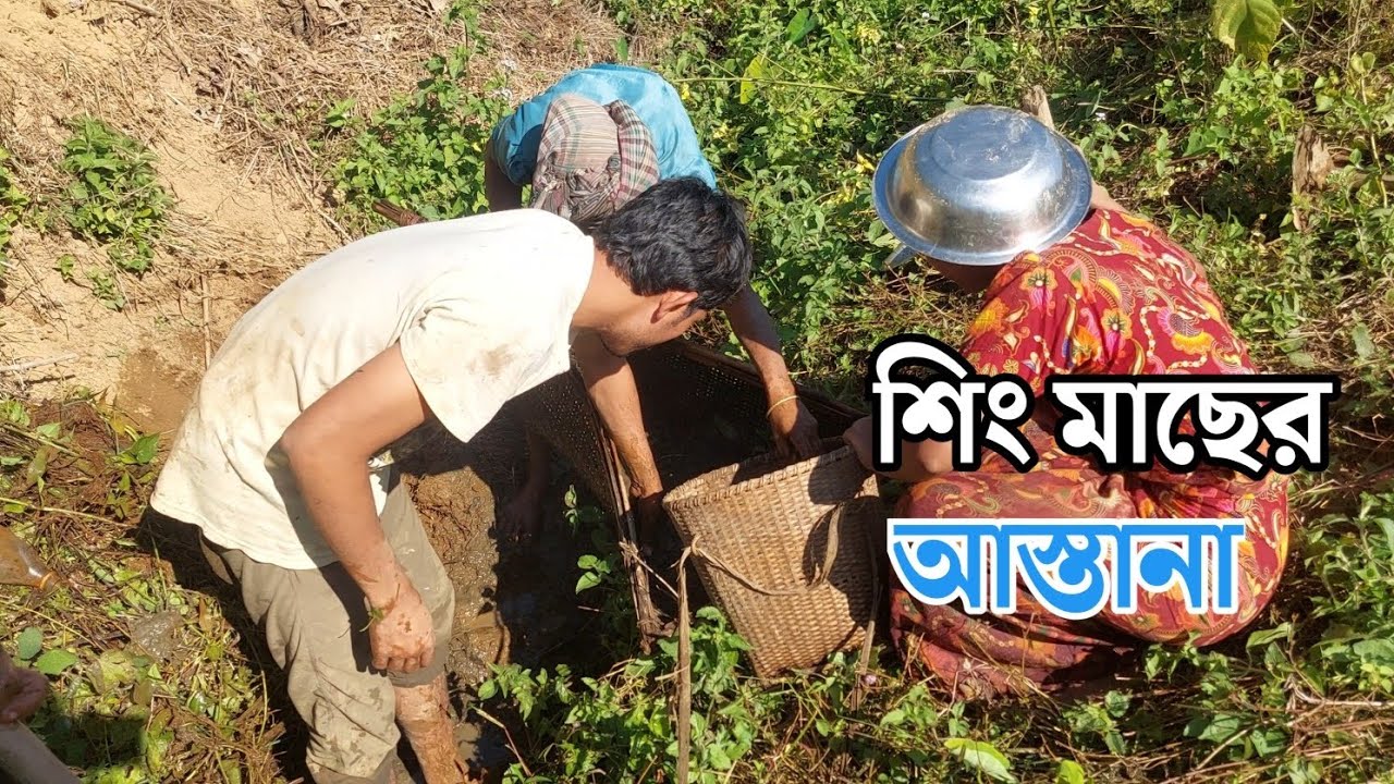 ঝিরির স্বাদের মাছ ধরতে যাচ্ছি