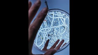 Download Lagu Introduction to Zhang Xueying’s Future Works MP3