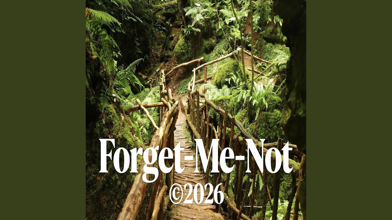 Forget-Me-Nots