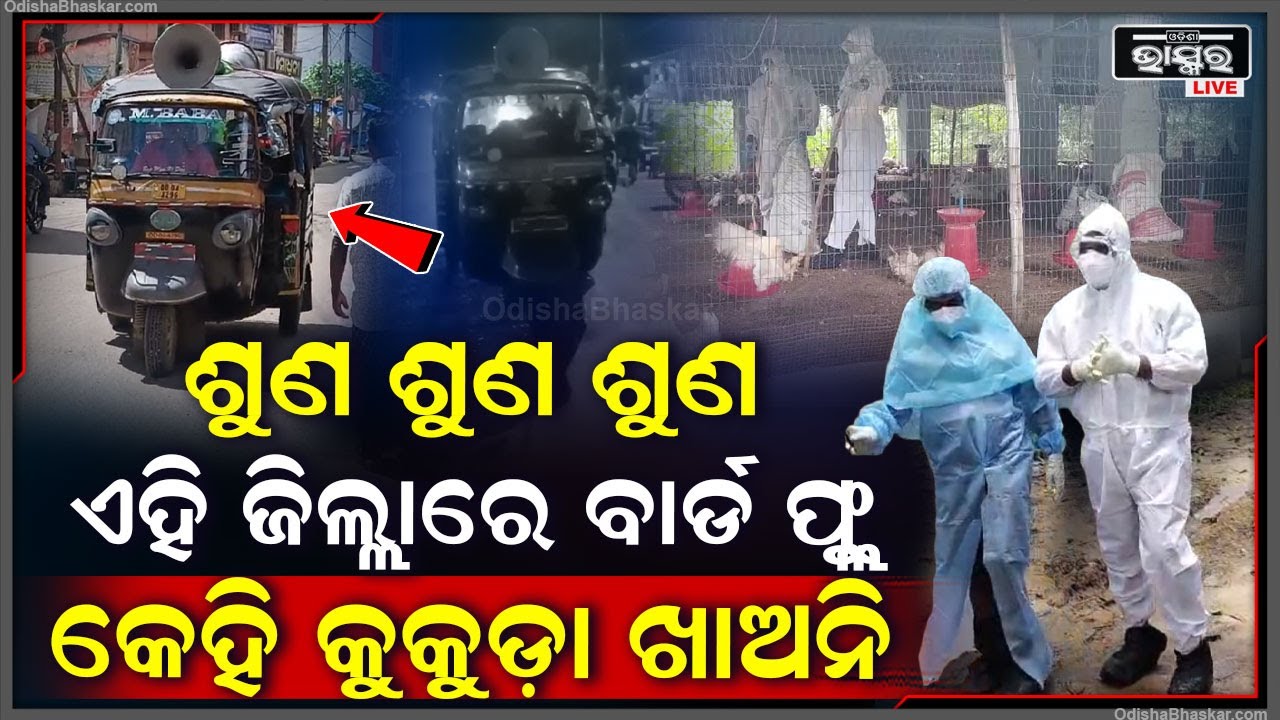 ଶୁଣ ଶୁଣ କୁକୁଡ଼ା ଏବଂ ଅଣ୍ଡାକୁ କେହି ବି ଖାଅ ନାହିଁ... ଖାଇଲେ ହୋଇପାରନ୍ତି ବାର୍ଡ ଫ୍ଲୁରେ ଆକ୍ରାନ୍ତ