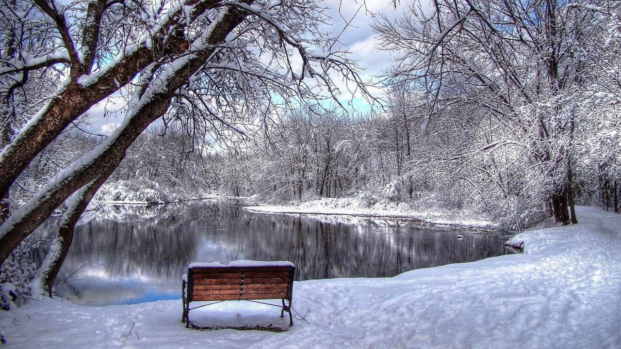 February 15, 2026  Transfiguration Sunday