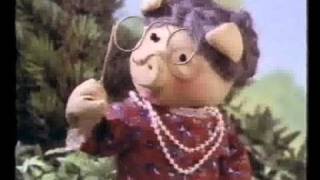 Huxley Pigs Home Movie