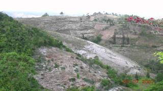 Seeds for Self Sufficiency: Biofuels in Rural Haiti